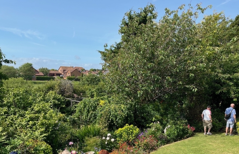 Madehurst